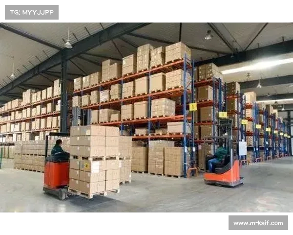 库房作业中合理分配体力，确保背靠背操作高效安全